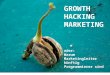 Growth hacking   Eine Einführung von Stefan Frisch