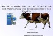 Mastitis, Eutergesundheit und Ekomilk: Präsentation für Milchviehhalter Milcherzeuger Eutergesundheit Spezialisten Milchtierärzten Laboratorien