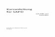 Kurzanleitung für SAP© - klaus-kolb.de · PDF fileSAP R/3 wird auf die besonderen Gegebenheiten und Abläufe Ihrer Branche und Ihres Unternehmens angepasst. ... SD = Sales and Distribution