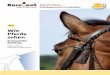 Nr.5 Wie Pferde sehen - Barefootbarefoot-saddle.com/de/out/pictures/wysiwigpro/pdf/broschuere-5.pdf · Wie Pferde sehen Erstaunliche Einblicke Wenn wir die Reaktionen von Pferden