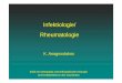 Vorlesung Infektiologie Rheumatologie  · PDF file• Polyarthritis: symmetrisch häufigste Manifestationen: Finger, Handgelenke, Knie, Fu