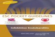 ESC POCKET GUIDELINES - leitlinien.dgk.orgleitlinien.dgk.org/...Leitlinien_Infektioese_Endokarditis_Update2.pdf · Mehr Infos unter: Infektiöse Endokarditis Diese Pocket-Leitlinie