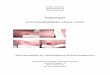 Fallbeispiel zum Krankheitsbild „Ulcus cruris“ · PDF fileWalter Scheiber Richardsweg 4a 6020 Innsbruck Fallbeispiel zum Krankheitsbild „Ulcus cruris“ Abschlussarbeit zur Weiterbildung