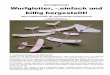 Aerodynamik: Wurfgleiter, -.einfach und billig hergestellt!basteltipps.net/wp-content/uploads/2010/10/Projektbeschrieb.pdf ·  6. Material Gemessen …