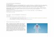 grundwissen anatomie -  · PDF fileGrundwissen Anatomie Einleitungstext Für das Verständnis von der Physiologie (griech.: phýse "die Natur" und lógos "die Lehre“; die Lehre