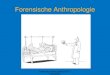 Forensische Anthropologie - Rechtsmedizin Homburg: · PDF fileVorlesung Homburg WS 2014, F. Ramsthaler Forensische Anthropologie •Forensische Osteologie •Forensische Altersschätzung