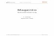Magento -  · PDF fileMagento basierender Shop annähernd unbegrenzt erweitert werden. Insofern sollte man sich vor Einführung eines Magento-Shops gerade im konzeptionellen