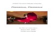 KAIROS Filmverleih Göttingen prä · PDF fileKAIROS Filmverleih Göttingen präsentiert Flamenco, Flamenco Ein Film von Carlos Saura Spanien 2010 - 90 Min. Tanzfilm ohne Dialoge