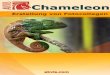 &KDPHOHRQ - download.akvis.comdownload.akvis.com/chameleon-de.pdf · ERSTELLUNG VON FOTOCOLLAGEN AKVIS Chameleon erstellt Fotocollagen schnell und einfach. Das Programm kombiniert