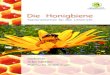 Die Honigbiene - Deutscher Imkerbund e. V.deutscherimkerbund.de/userfiles/Kinder_Jugendseite/Bienen_Extras/... · so, dass je ein Pollenpaket an den Außenseiten der Beine, am Pollenkamm,