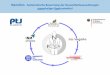 NanoKon - Systematische Bewertung der ... · PDF filePATHOMA CHIR INM PATHOMA in vivo Transportprozesse und subzelluläre Lokalisation INM PharmBio STAUMA PATHOMA AP 3 in vitro ALLE