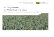 Fungizide in Winterweizen -   · PDF file12 Flamenco FS;Ceriax*;Prosaro 93,5 88,8 41,8 1,0 0,3 0,0 0,0 3.2 Ertragsmerkmale ERTRAG ERTREL ERTDIF TUKEY- TKG TUKEY- HEKLIT DON
