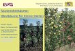 Säulenobstbäume: Obstbäume für kleine Gä · PDF fileFlamenco: Baumreife Ende September bis Anfang Oktober; Frucht mittelgroß, breit mit rotgrüner Schale, saftig, fest, süß,