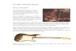 Fender Strat Rory Gallagher - wolfgang-jaeger- Strat Rory...Fender Stratocaster Rory Gallagher Ich bin ein groer Fan des irischen Gitarristen Rory Gallagher. Seit Anfang der siebziger