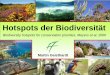 Abb.1 Abb.2 Abb.3 Hotspots der Biodiversität · PDF fileMotivation. Warum Biodiversitätsschutz? Welche Idee steckt hinter der Hotspot-Strategie? Definition. Welche Kriterien erfüllt