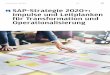 SAP-Strategie 2020+: Impulse und Leitplanken für ... PDFs/ci41 PDF/SAP-Strategie... · HANA Cloud Platform und die Erweiterungsstrategie der SAP für S/4-HANA-Lösungen. ... 36 SAP