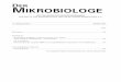 Mikrobiologe 2005-5-15 INTERNETVERSION - Baemibaemi.de/fileadmin/baemi/der_mikrobiologe_komplett/Mikrobiologe... · LP = Lumbalpunktion M. = Mycoplasma ... hirn-Brückenwinkel-Tumor,