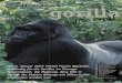 Zeitschrift der Nr. 34 – Juni 2007 · PDF fileBevölkerung von Nindja mit 350 Tonnen Lebensmit-teln. Dies ermöglichte die Wiederaufnahme des Dia-logs mit den dort lebenden Menschen