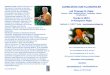 mit Thomas G. Peter - klangraum- · PDF fileTranszendentale Meditation (TM). 1979 Einführung in die Lehren von Paramahansa Yogananda (Kriya Yoga) ... (Merkaba) nach und durch Drunvalo