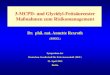 3-MCPD- und Glycidyl-Fettsäureester Maßnahmen zum ... · PDF file3-MCPD- und Glycidyl-Fettsäureester Maßnahmen zum Risikomanagement Dr. phil. nat. Annette Rexroth (BMEL) Symposium