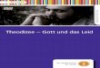 Theodizee – Gott und das Leid - dbbm.fwu.dedbbm.fwu.de/fwu-db/presto-image/beihefte/55/016/5501654.pdf · 4 Experte. Neben Leibniz, Voltaire, Kant, Moltmann und Thiedes eigenem