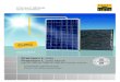 Premium L poly Premium L poly black - Solar Fabriksolar-fabrik.de/wp-content/uploads/2017/05/Premium_L_polyblack.pdf · Handelsübliche Stufengarantie Lineare Leistungsgarantie e