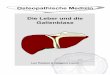 Osteopathische Medizin Die Leber und die Gallenblaseosteopedia.iao.be/uploads/lever_de_demo.pdf · Mail: info@osteopathie.eu Web: und Tel: +32 9 233 04 03 - Fax: +32 55 70 00 74 ISBN: