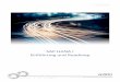 SAP HANA I Einführung und Roadmap - avato Consultingavato-consulting.com/.../PDFs/de/...SAP_HANA_I-Einfuehrung_und_Ro… · SAP HANA - Eine Einführung 90% Wachstum in einem Jahr,