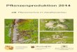 Pflanzenschutzmaßnahmen im Zierpflanzenbau - ISIP · PDF file│3 Grundlagen Grundlagen des Integrierten Pflanzenschutzes ist die Schaffung bestmöglicher Wachstumsbedingungen für