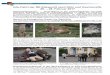 Info-Fahrt der RK Edewecht nach Köln und Overloon/NL 26 ... · PDF fileEin ausgemusterter Kampfpanzer Leopard 1 steht in der Mudra-Kaserne als Denkmal vor dem Unte rkunftsgebäude