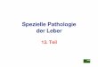Spezielle Pathologie der Leber - LMU Mü · PDF fileParasitosen (5): Fasciola hepatica (2): Makro: zwei Phasen sind zu unterscheiden: akute Fasziolose (Leberwanderung): zahlreiche