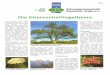 Die Eberesche/Vogelbeere (SWD, pdf 1.218 kb) - sdw.de · PDF fileNr.11 Die Eberesche oder Vogel- beere (Sorbus aucuparia L.) zählt zur Gattung Sorbus, die etwa 85 Arten umfas st