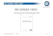 BS OHSAS 18001 - Mobilität · PDF fileAusgabe Juli 2007 durch BSI. Standard statt Spezifikation. Übergangsphase 2 Jahre (Ende: 30.06.2009). Aufbau analog zur ISO 14001:2004