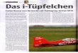 Turbo Raven - AIRWORLD MODELLBAU Bilder/Presse/Bericht_Turbo_Rav… · T-TEST 33 zueinander, was im Obrigen genauso für die beiliegenden Frästeile aus Sperrholz gilt. Das für die