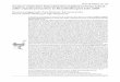 Analyse schlechter Reproduktionsergebnisse beim Schrei ... · PDF fileOtis 18 (2010): 51 - 64 Analyse schlechter Reproduktionsergebnisse beim Schrei-adler (Aquila pomarina) in Brandenburg