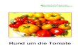 Rund um die Tomate - l  · PDF file2 Herausgeber: Landwirtschaftskammer Nordrhein-Westfalen Nevinghoff 40 48147 Münster Telefon: 0251 / 2376-0 Telefax: 0251 / 2 37 65 21