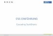 CSS EINFÜHRUNG - luis.uni- · PDF fileSeite 6 November 2010 Vorteile CSS trennt Struktur von Gestaltung CSS bringt übersichtlichen HTML-Code CSS bietet Gestaltung nicht nur für