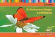 Schmetterlinge schü tzen - bund.net · PDF fileWaldteufel, Argus - bläuling oder Schönbär –schützen wir ihren Lebensraum, so fördern wir damit auch die Artenvielfalt.  . 8