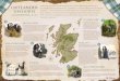 Outlander Film Schauplätze - static.visitscotland.comstatic.visitscotland.com/pdf/outlander-drehorte.pdf · OUTLANDER DREHORTE —STAFF EL 1-— DOUNE CASTLE Craigh na Dun und Lallybroch