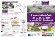 Lavendel-Schaugarten und Lebens(bach)lauflavendeldorf.at/docs/Flyer_A5_Lavendelfest_2017_low.pdf · Lavendel-Schaugarten und Lebens(bach)lauf Horn Maissau Krems Ziersdorf Hollabrunn