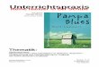 Unterrichtspraxis - dtv.de · PDF file2 Unterrichtspraxis Reihe Hanser Handlung „Pampa Blues“ ist das bisher einzige Jugendbuch von Rolf Lappert. Es ist verortet im fiktiven norddeutschen