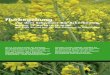 Flurbegehung - Bio- · PDF fileProgramm vom 12. Mai 2014 19.30 Uhr: Besammlung vor dem Schulgebäude auf der Bio-Schwand (Urs Siegenthaler, Sigis Biohof Schwand) Bio-Ölsaaten:
