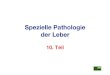 Spezielle Pathologie der Leber - LMU Mü · PDF fileHepatitis: die Einteilung kann vorgenommen werden nach: A. makroskopischem Bild kleinherdige Lebernekrosen / -entzündung großherdige