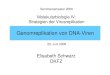 Molekularbiologie IV: Strategien der Virusreplikation · PDF fileGenomreplikation von DNA-Viren Sommersemester 2006 Molekularbiologie IV: Strategien der Virusreplikation Elisabeth