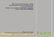Entwicklung der Verkehrssicherheit und ihrer ...bast.opus.hbz-nrw.de/volltexte/2012/377/pdf/M224.pdf · consisting of linked Excel-files. ... includes the possibility of changing