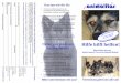 Hilfe hilft helfen! -   · PDF filedie SMEURA in Rumänien. Diese dienen Kastrations- oder Umbauprojekten, sowie der tierärztlichen Behandlung der Hunde und Katzen