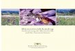 Bienenweidekatalog neu -  · PDF file4 5 Inhaltsverzeichnis 1. Bedeutung der Bienen für Mensch und Natur
