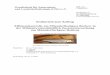 Effizienzkontrolle am Mäanderfischpass Borkow in der ... · PDF fileEndbericht zum Auftrag Effizienzkontrolle am Mäanderfischpass Borkow in der Mildenitz (einschließlich Zusatzuntersuchung