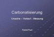 Ursache – Verlauf – Messung · PDF fileInhaltsverzeichnis 1. Was ist Carbonatisierung? 2. Ursache 3. Folgen der Carbonatisierung 4. Verlauf 5. Einflussgrößen 6. Abschätzung