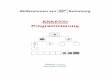 ABAP OO - wekum. · PDF file2 Themen 1. Arten der Programmierung 2. Vorteile der OO-Programmierung 3. Begriffe der OO-Programmierung 4. ABAP-Entwicklungsumgebungen 5
